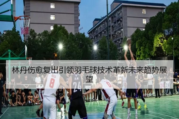 林丹伤愈复出引领羽毛球技术革新未来趋势展望