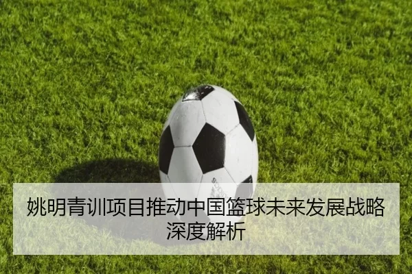 姚明青训项目推动中国篮球未来发展战略深度解析